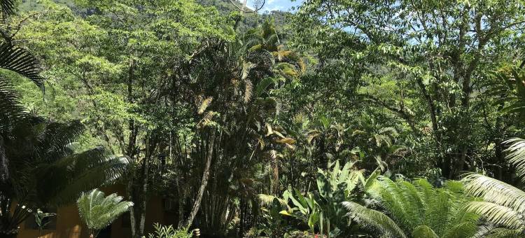 布罗美莱丝酒店(Pousada Bromélias)图片