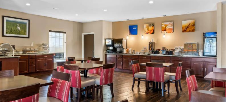 勒琼营附近舒适全套房酒店(Comfort Suites Near Camp Lejeune)图片