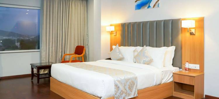 乌代布尔舒适酒店(Comfort Inn Udaipur)图片