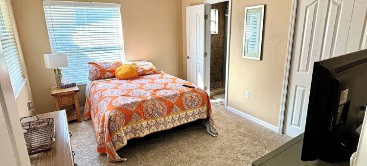 Relaxing Pool Home - Palm Harbor - 3Br - 6Ppl图片