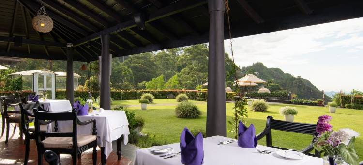 埃勒回声酒店(EKHO Ella)图片