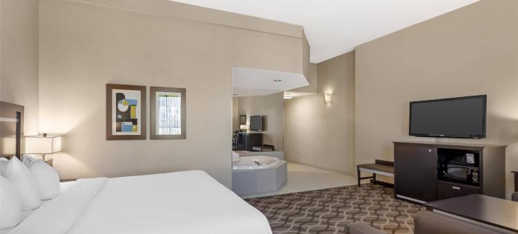 多伦多机场旅行贝斯特韦斯特优质酒店(Best Western Plus Travel Hotel Toronto Airport)图片