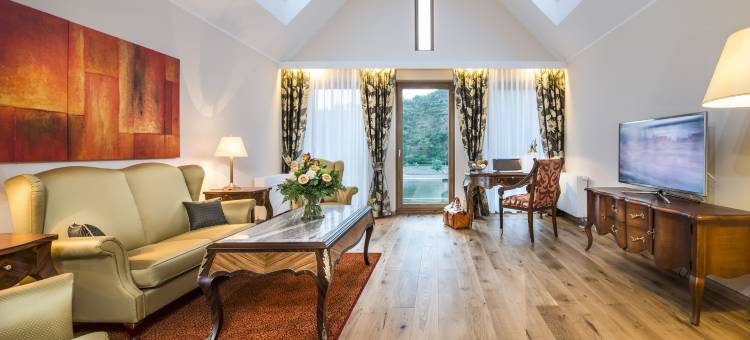 贝尔维尤莱恩酒店(Bellevue Rheinhotel)图片