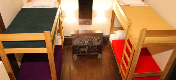 卡克拉多格疗养旅舍(Kaclla, the Healing Dog Hostel)图片