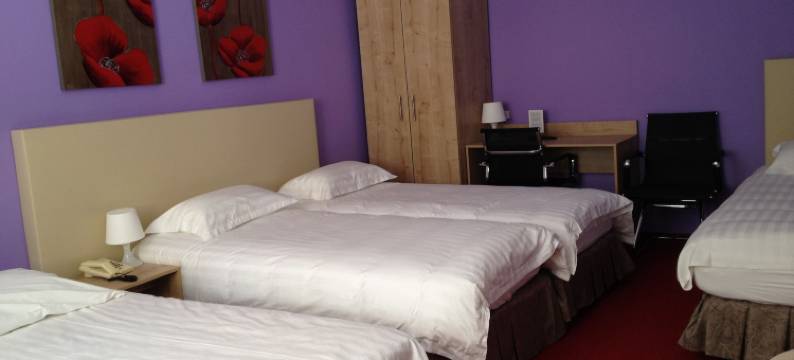 席凡宁根新城市酒店(New City Hotel Scheveningen)图片
