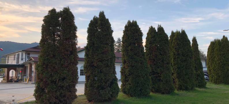 大通乡村旅馆(Chase Country Inn)图片