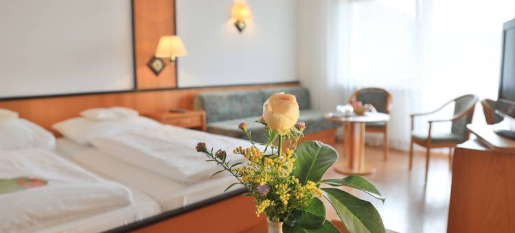 苏姆阿特施罗斯兰迪伊尔酒店(Landidyll Hotel Zum Alten Schloss)图片