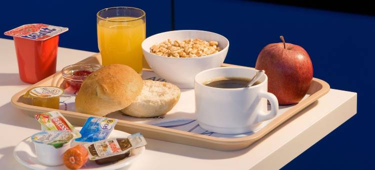 戛纳穆然宜必思快捷酒店(Ibis Budget Cannes Mougins)图片