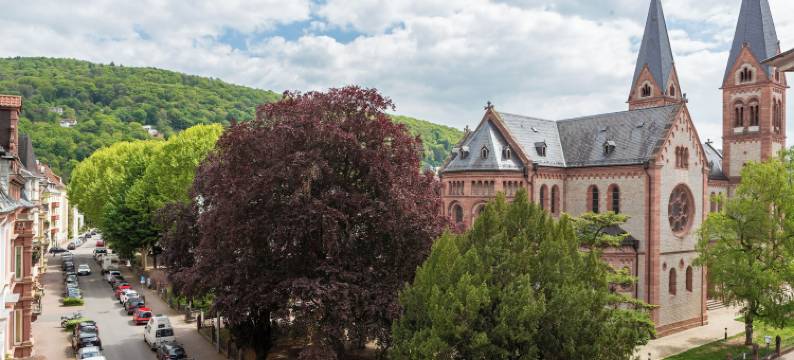 鳄鱼餐厅酒店(Hotel Restaurant Krokodil)图片