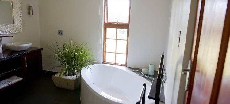 科第瓦旅馆(Cultivar Boutique Hotel)图片