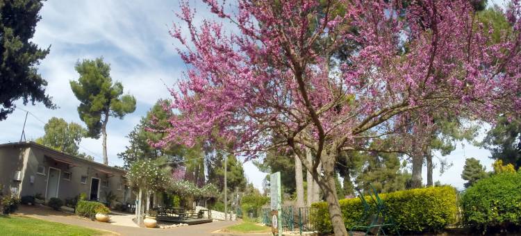 基布兹马尔基雅旅游酒店假日公园(Kibbutz Malkiya Travel Hotel)图片