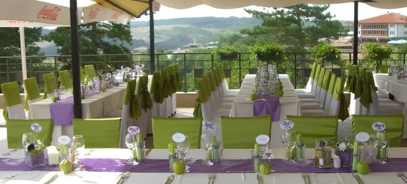 阿巴纳西公园酒店(Park Hotel Arbanassi)图片