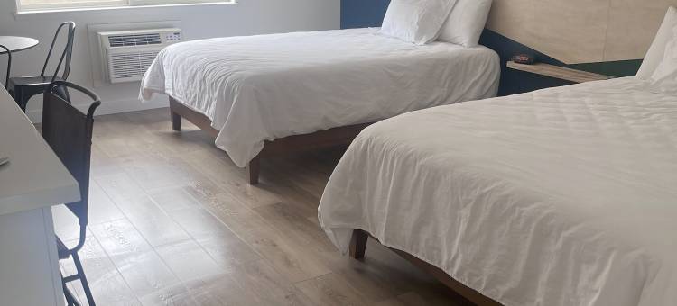 金奥斯卡汽车旅馆(The Varsity Inn North)图片