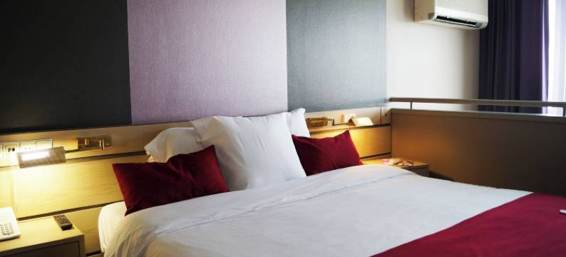 奥利维尔酒店(Hotel Olivier)图片