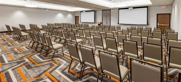 德鲁里广场酒店达拉斯阿林顿(Drury Plaza Hotel Dallas Arlington)图片