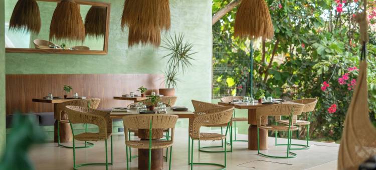 纳亚角 - 限成人(Punta Nayaá - Adults Only)图片