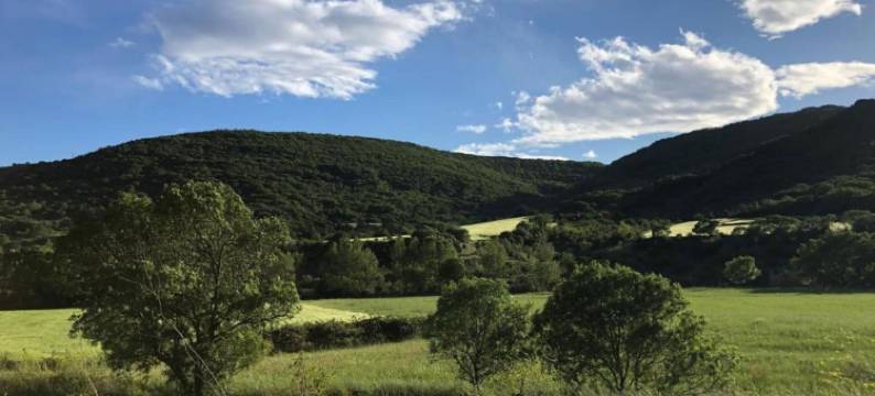 Villa in la Tour-Sur-Orb with Pool & Garden图片
