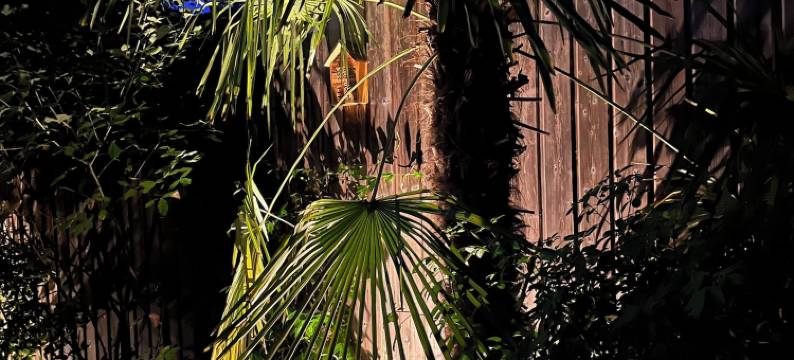 小莱姆酒店(Une Odeur de Tilleul)图片