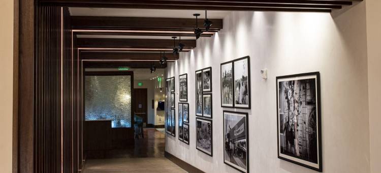 迪士尼当代度假村(Disney's Contemporary Resort)图片