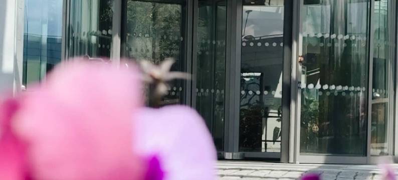 卑尔根机场凯瑞酒店(Clarion Hotel Bergen Airport)图片