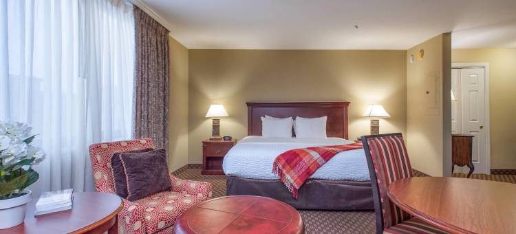 阿灵顿法院套房克拉丽奥精选酒店(Clarion Collection Hotel Arlington Court Suites)图片