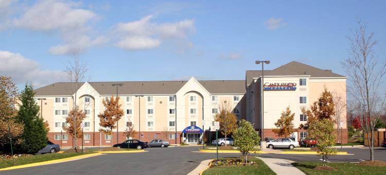 Candlewood Suites 华盛顿杜勒斯HERNDON by IHG(Candlewood Suites Washington-Dulles Herndon)图片