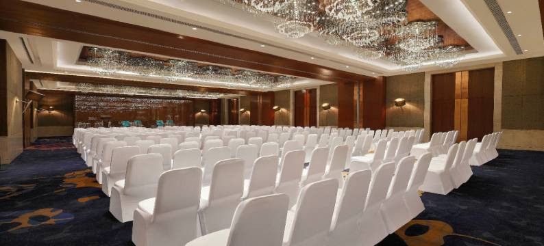 齐普尔市中心假日酒店(Holiday Inn JAIPUR CITY CENTRE by IHG)图片