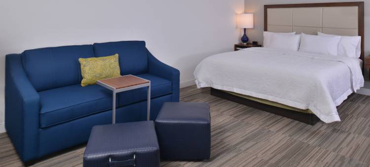 安阿伯西欢朋套房酒店(Hampton Inn & Suites Ann Arbor-West)图片