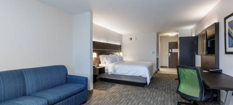 智选假日套房酒店南湾 - 厄斯金园(Holiday Inn Express & Suites SOUTH BEND - CASINO by IHG)图片