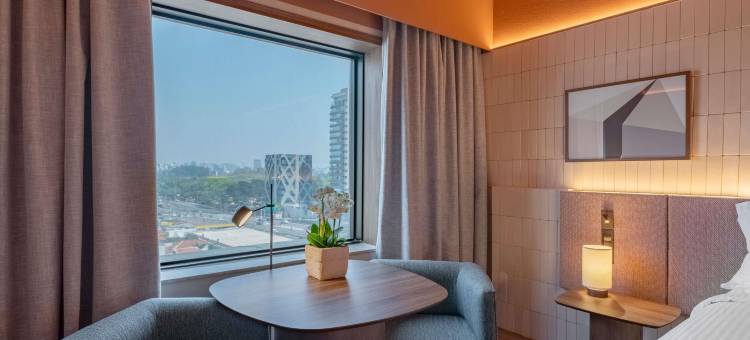 圣保罗伊比拉普埃拉铂尔曼酒店(Pullman Sao Paulo Ibirapuera)图片