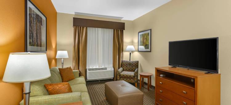 泰奥加美茵斯坦套房酒店(MainStay Suites Tioga)图片