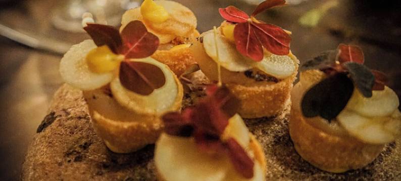 旅游农场 - 文之家酒店(Turistgården - House of Ven)图片