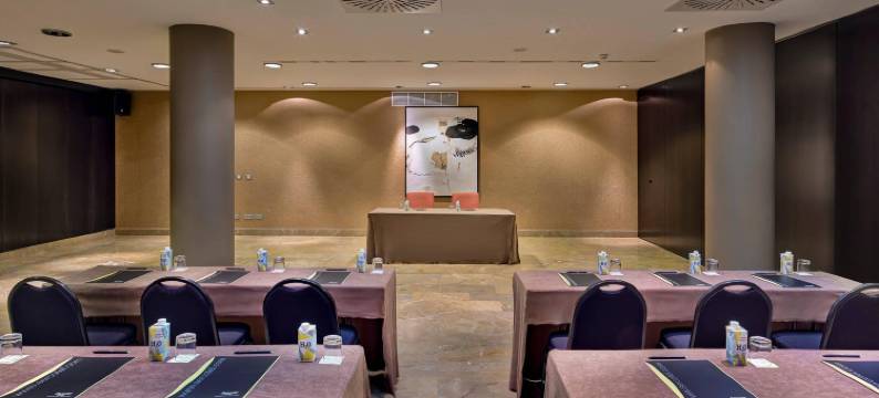 Sercotel大教堂门酒店(Sercotel Puerta de la Catedral)图片