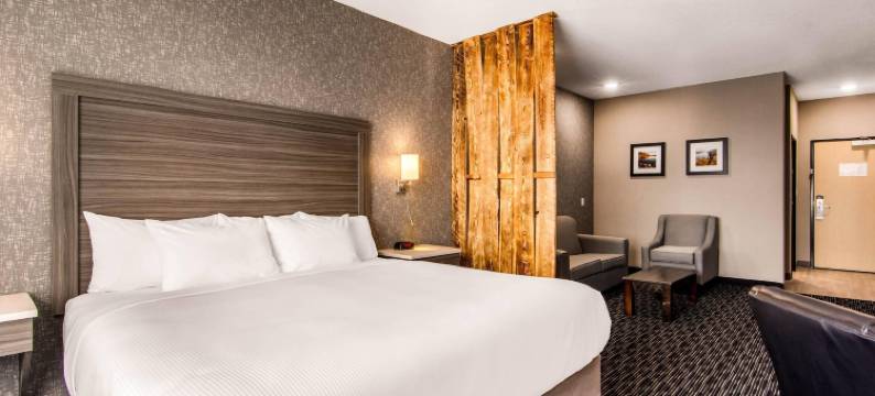 舒适套房酒店(Comfort Inn & Suites)图片