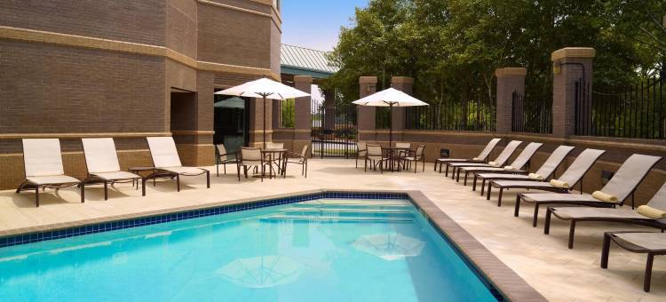 希尔顿亚特兰大东北酒店(Hilton Atlanta Northeast)图片