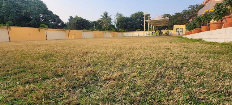 梦想客栈酒店 卡拉格普尔(Hotel Dreams Inn Kharagpur)图片