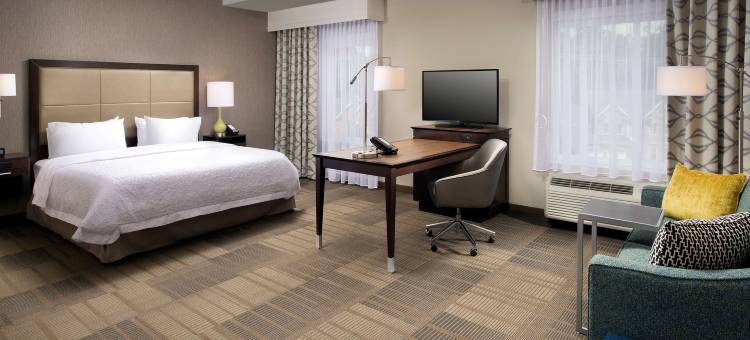 希尔顿欢朋套房酒店-福尔斯彻奇(Hampton Inn & Suites by Hilton Falls Church)图片