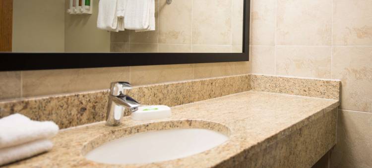 开普吉拉多-近医疗中心梨树酒店(Pear Tree Inn Cape Girardeau Medical Center)图片