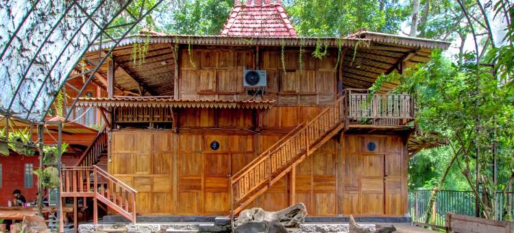 OYO 95018 安格雷克日惹伊斯兰民宿(OYO 95018 Anggrek Homestay Jogja Syariah)图片