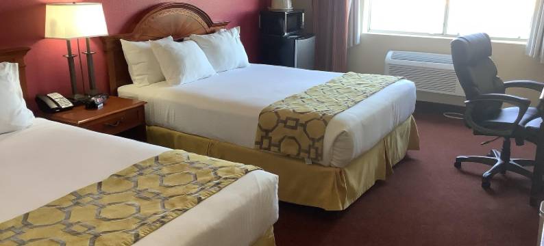 霍尔布鲁克温德姆呗盟套房酒店(Baymont Inn & Suites by Wyndham Holbrook)图片