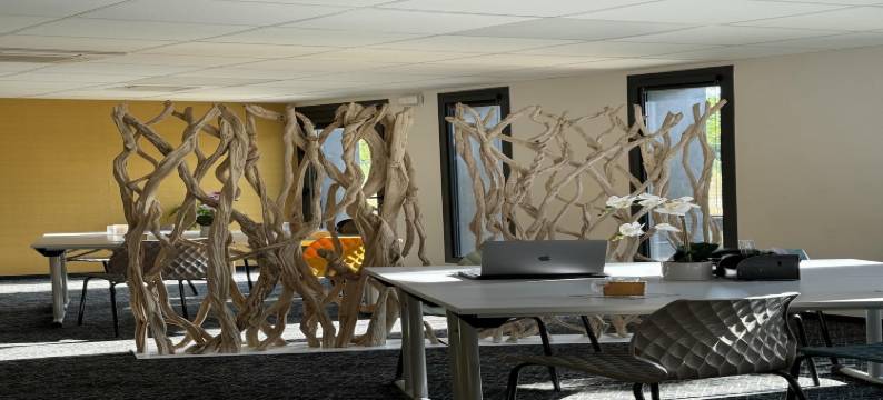 康布斯拉维尔塞纳特凯亚德酒店(Kyriad Combs-La-Ville - Senart)图片