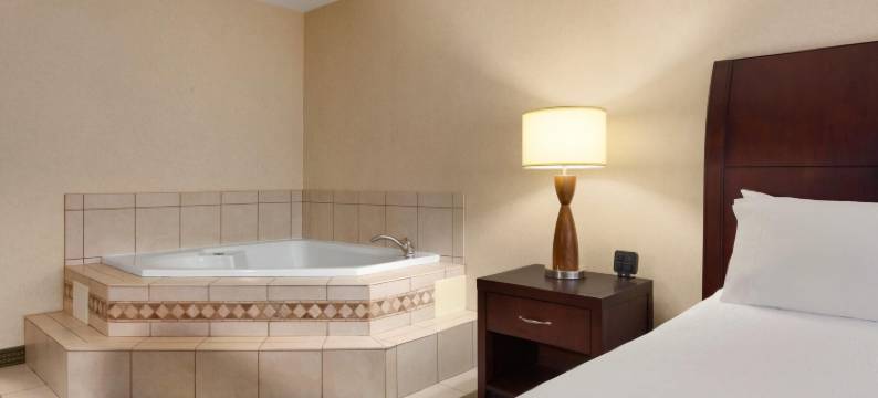 北杜勒斯希尔顿花园酒店(Hilton Garden Inn Dulles North)图片