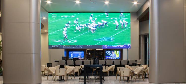 方迪多拉蒙特雷公园假日酒店(Holiday Inn MONTERREY-PARQUE FUNDIDORA by IHG)图片