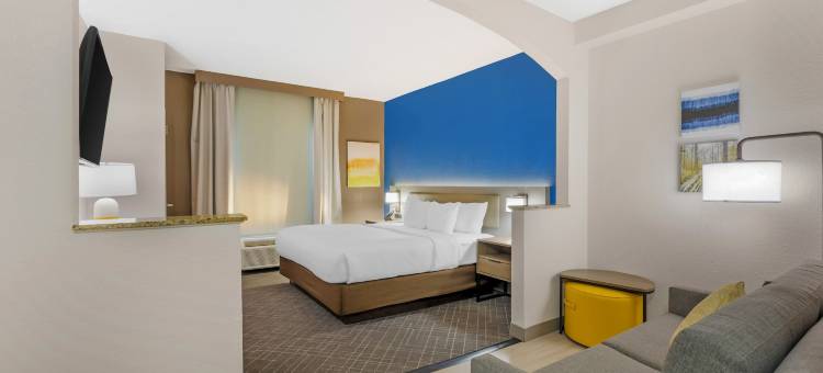 舒适套房酒店(Comfort Suites)图片
