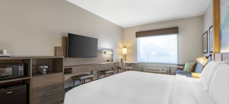 Holiday Inn Express 波科莫克市(Holiday Inn Express Pocomoke City)图片