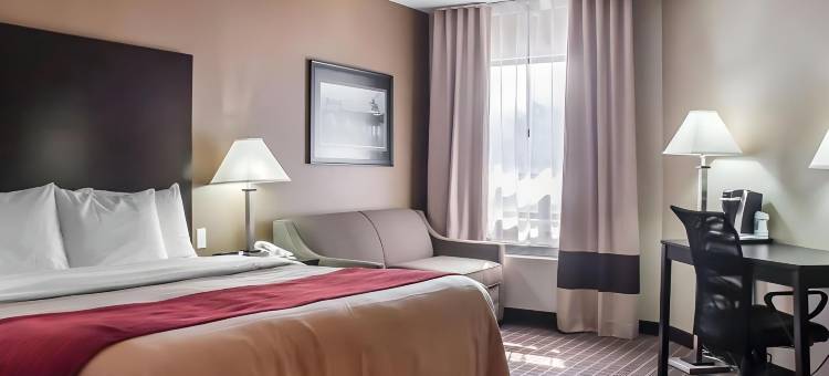 舒适酒店(Comfort Inn)图片