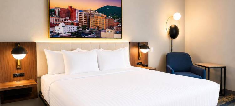 温德姆罗阿诺克霍林斯/I-81拉昆塔温德姆酒店套房(La Quinta Inn & Suites By Wyndham Roanoke Hollins/I-81)图片