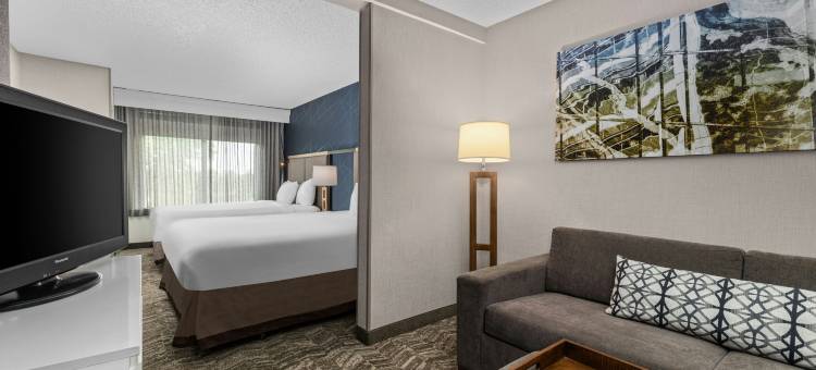 明尼阿波利斯伊甸草原万豪SpringHill酒店(SpringHill Suites Minneapolis Eden Prairie)图片