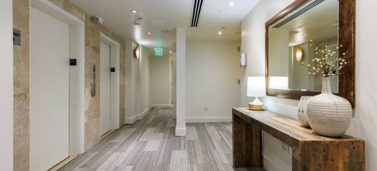 圣胡安棕榈康达多酒店 - 希尔顿启缤精选酒店(Condado Palm Inn San Juan, Tapestry Collection by Hilton)图片