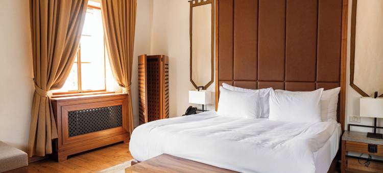 奇格勒奥托塞克酒店 - 罗莱夏朵(Hotel Grad Otočec - Relais Chateaux)图片
